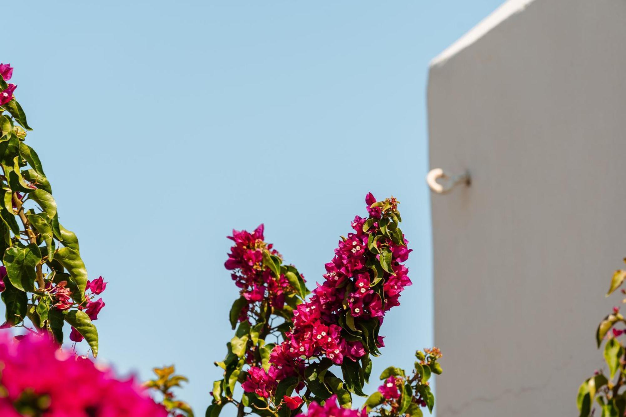 Naxos City Rosabella Home מראה חיצוני תמונה